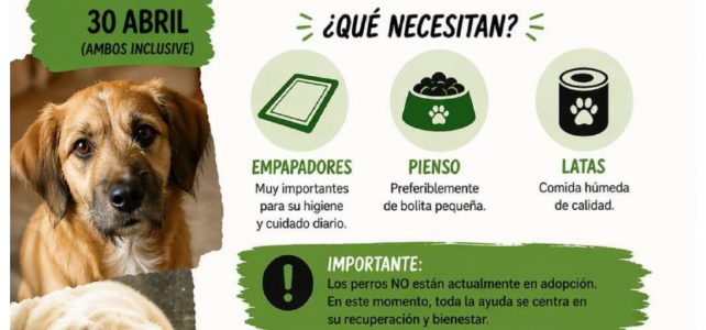 Campaña vecinal en apoyo a perros rescatados Campaña vecinal en apoyo a perros rescatados